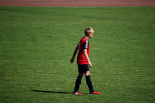 乐鱼官网-未来足球场馆将融合智能照明和环境监测系统，绿色科技引领行业